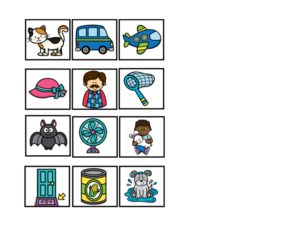 Spring CVC Picture Match