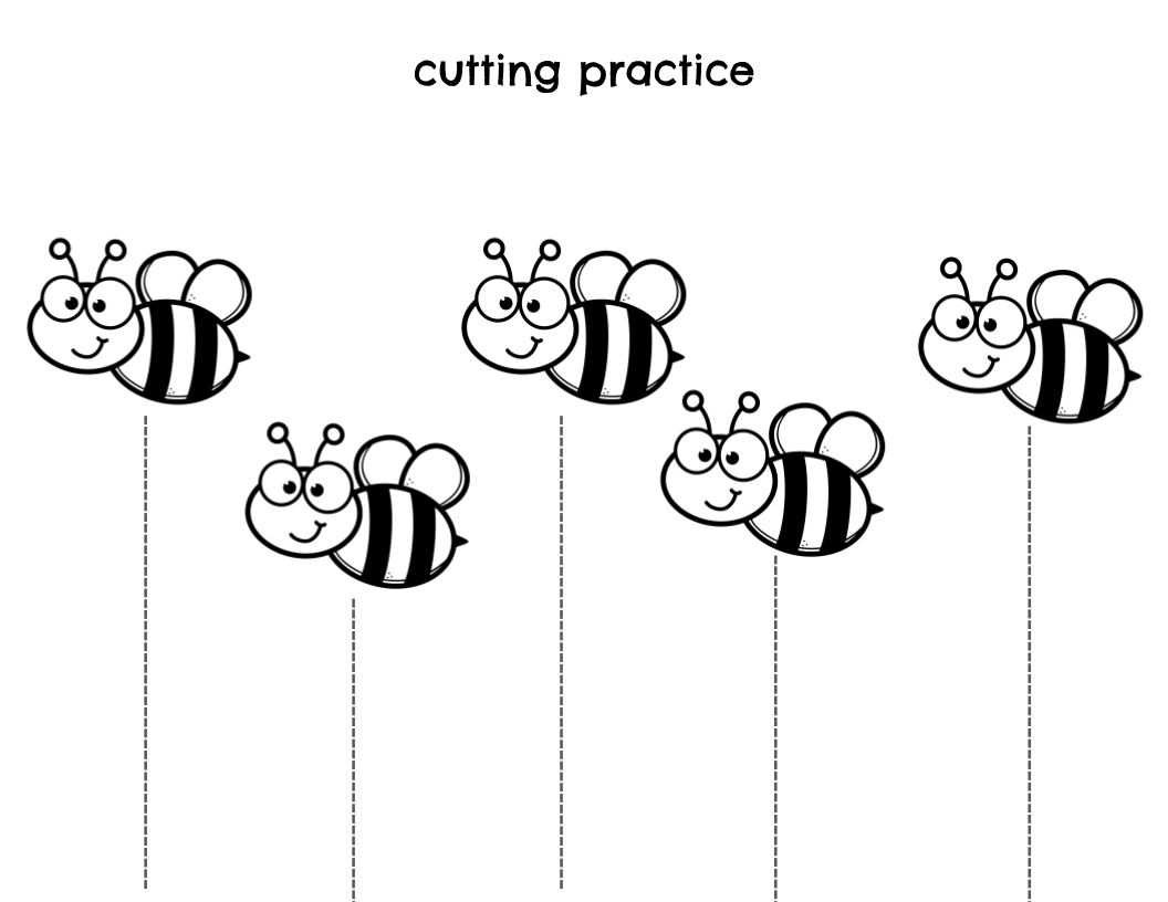 Spring Cutting Practice