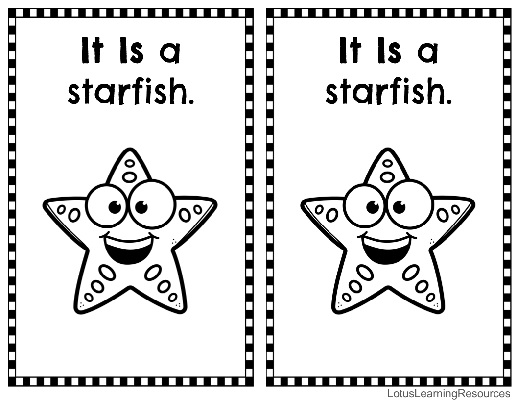 AAC - It Is Summer Time