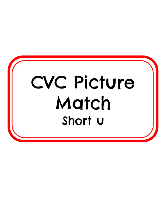 CVC Picture Match File Folder