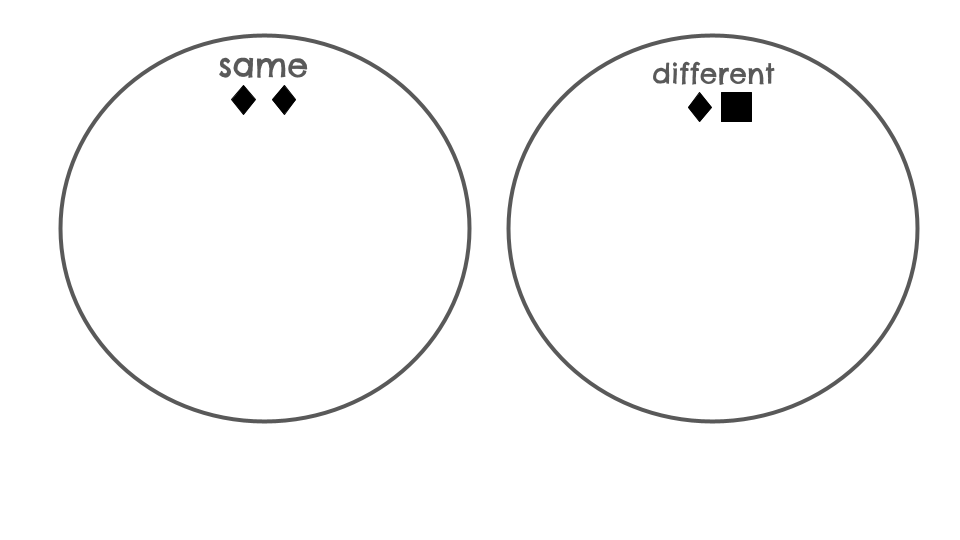 AAC - Same and Different