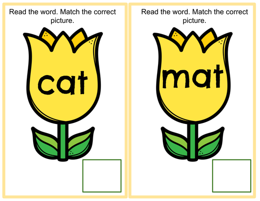 Spring CVC Picture Match